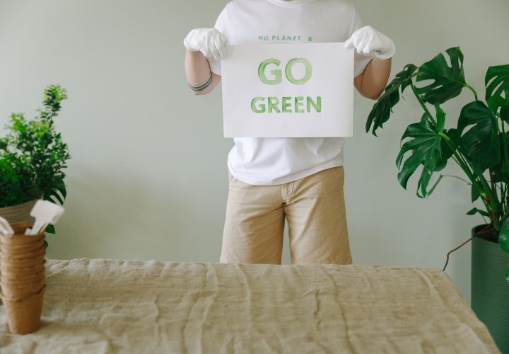 Quelles initiatives écologiques changent vraiment les choses ?