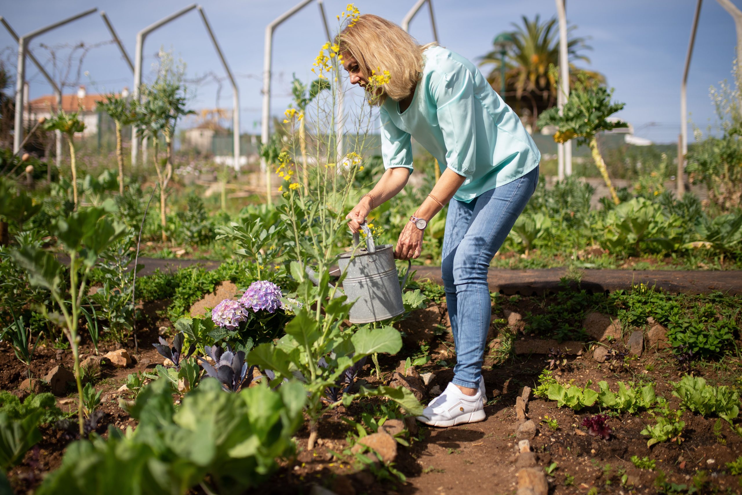 Femme senior arrosant son jardin de légumes
