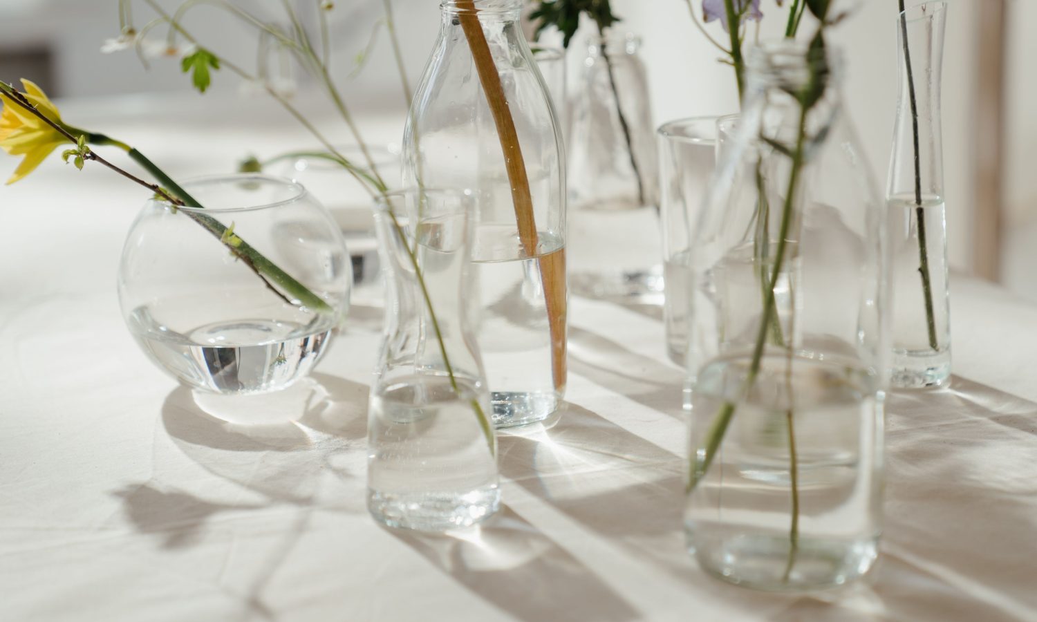 Quoi mettre dans un grand vase transparent pour un beau rendu ?