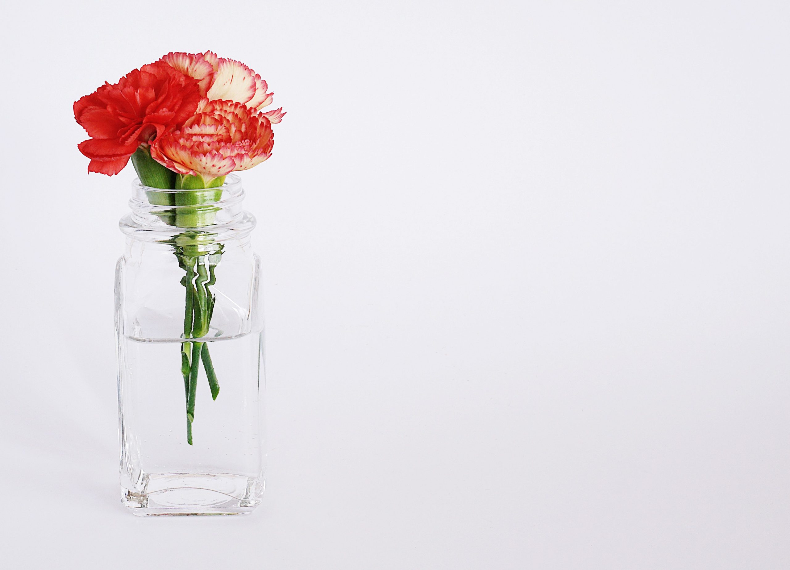 Oeillets rouges elegants dans un vase en verre transparent.